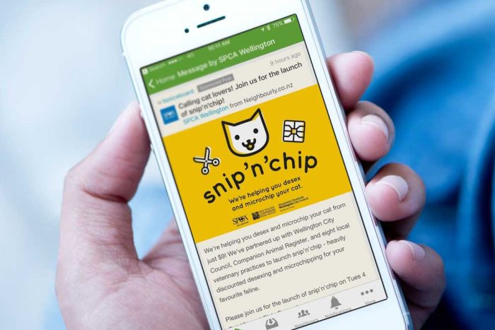 Snip’n’chip Campaign