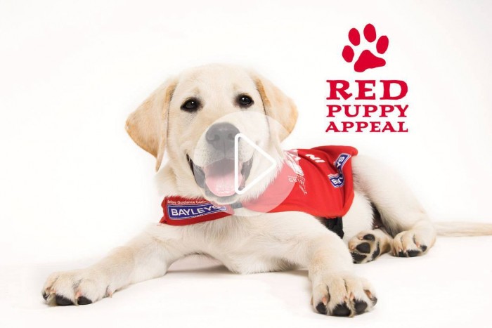 RNZFB Red Puppy Appeal