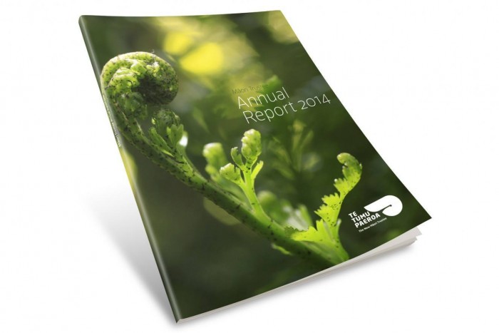 Te Tumu Paeroa Report